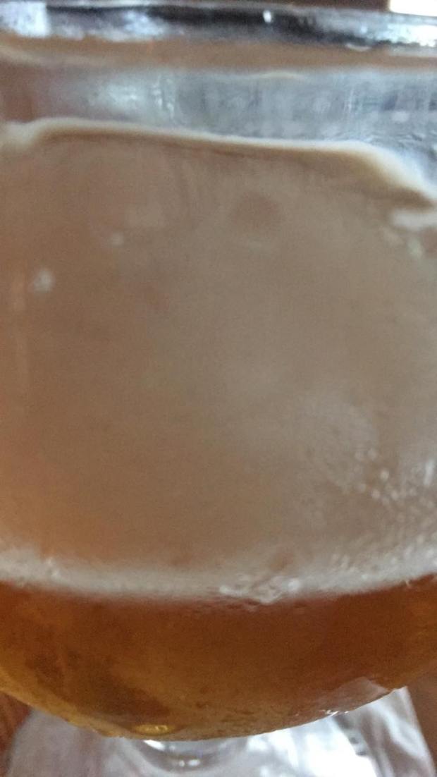 45519667_2307163656182156_6213282475611783168_o